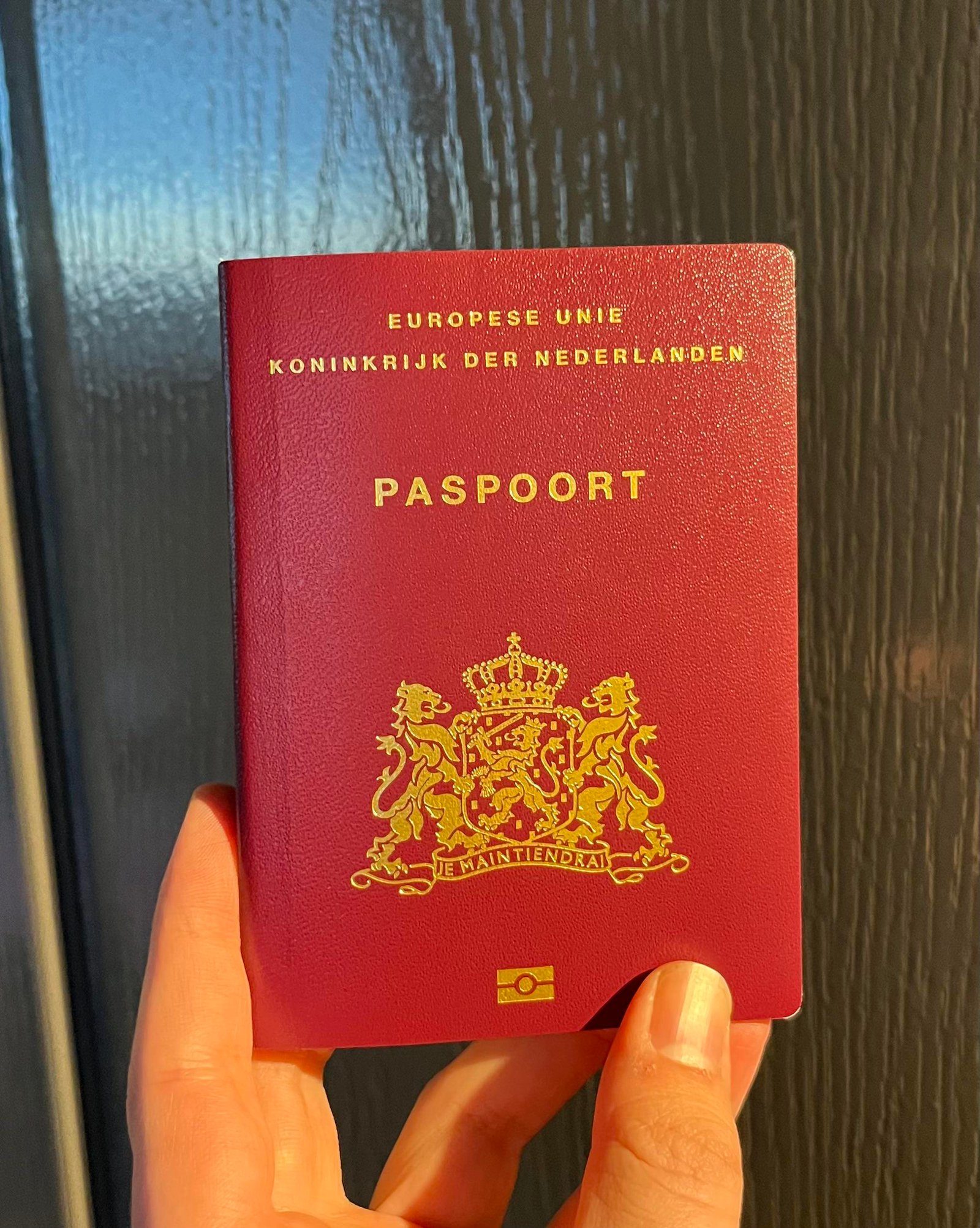 Buy Netherlands Passport Online - Paspoort Biometric - PassportIDZone Netherlands Passport, Paspoort Biometric,