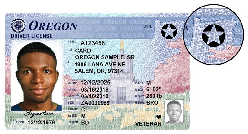 High-fidelity fake passport layout for online verification system testing by PassportIDZone